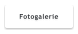 Fotogalerie