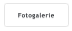 Fotogalerie