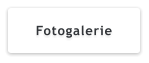 Fotogalerie