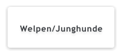 Welpen/Junghunde
