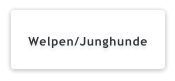 Welpen/Junghunde